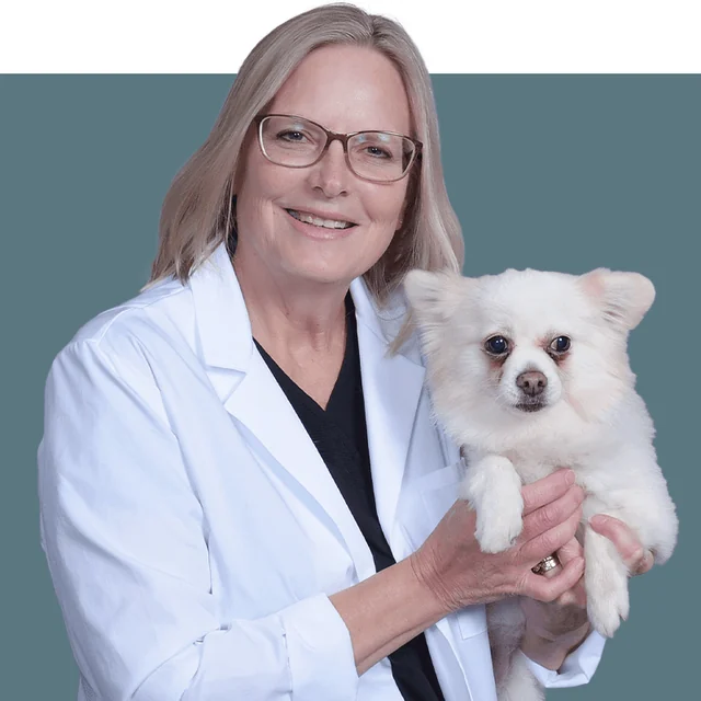 Dr. Sandra Welsh, owner and Lead Veterinarian Partner at CityVet Marvin in Waxhaw NC